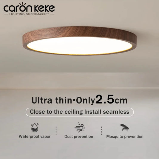 Walnera™ Modern LED Ceiling Light