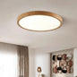 Walnera™ Modern LED Ceiling Light
